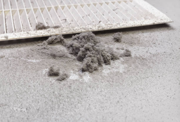 Best Affordable Duct Cleaning Services  in Plattsburgh West, NY