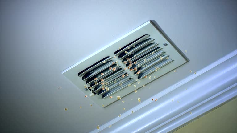 Best Air Vent Cleaning Services  in Plattsburgh West, NY